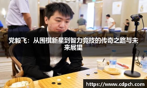党毅飞：从围棋新星到智力竞技的传奇之路与未来展望